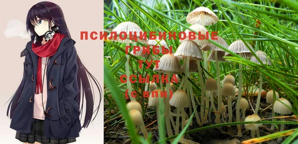 дурь Кукмор