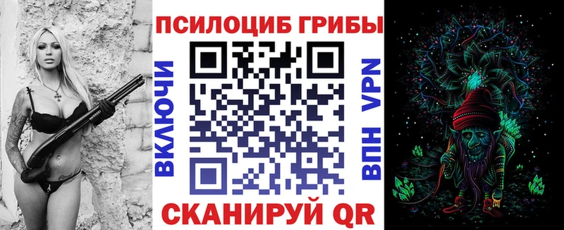 хочу   Татарск  Галлюциногенные грибы Psilocybine cubensis 