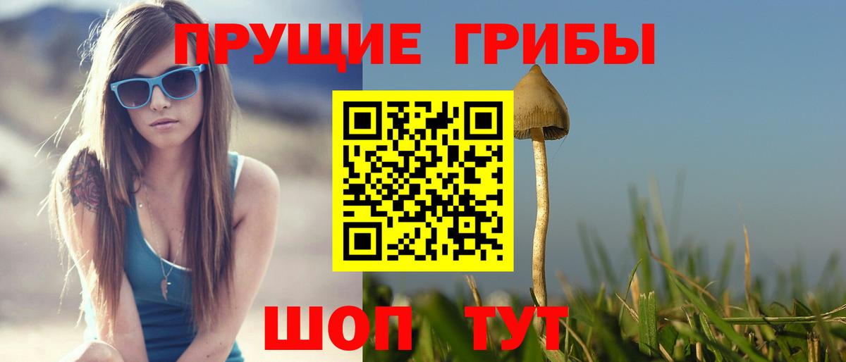 Галлюциногенные грибы прущие грибы Татарск